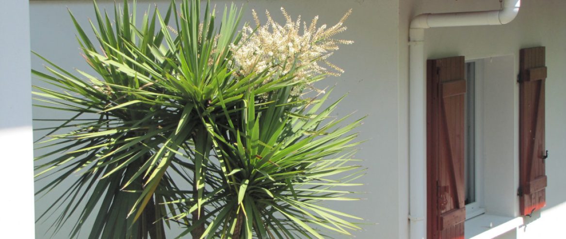 extérieur Gite T3 Les7nains Bidart vacances