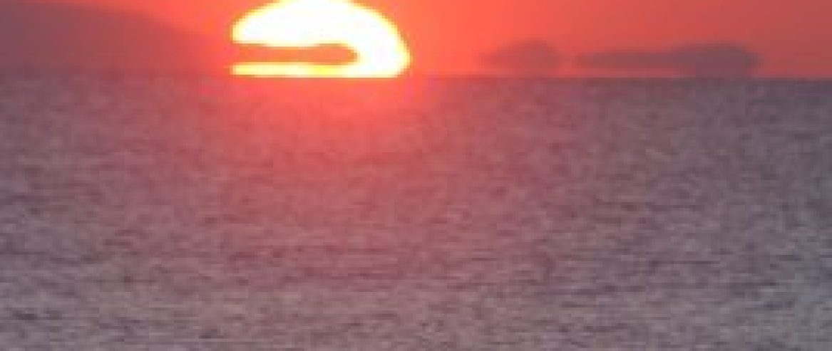 Surf Bidart vacances côte Basque